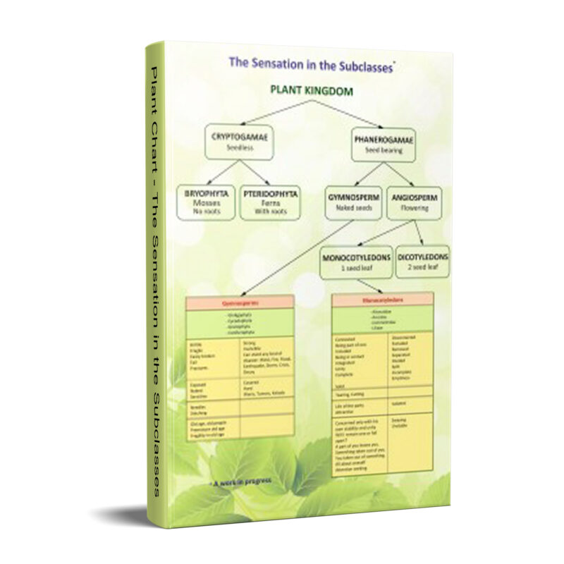 Plant Chart - The Sensation in the Subclasses