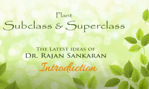 Plant Subclass & Superclass 1
