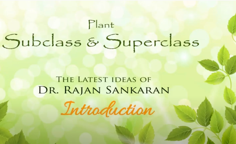 Plant Subclass & Superclass 1