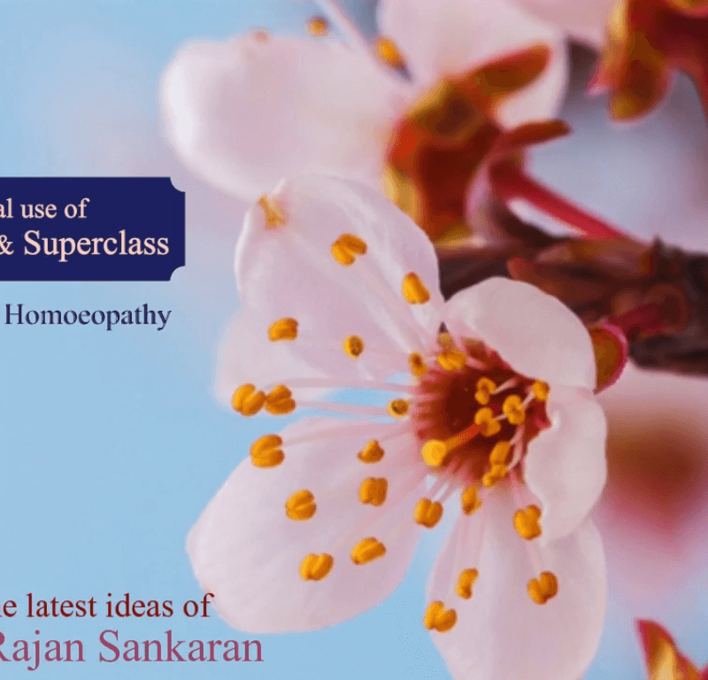 Practical use of Plant Subclass and Superclass 2