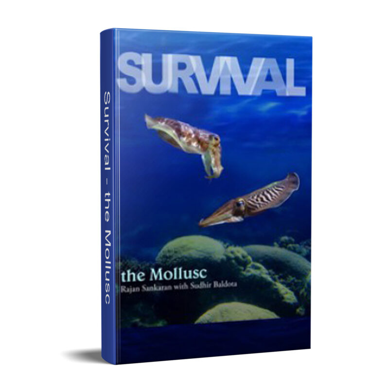 Survival - the Mollusc