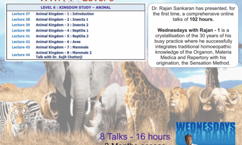 Animal Kingdom Module