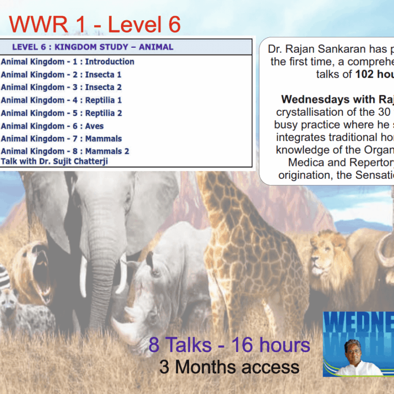 Animal Kingdom Module